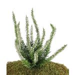 Konstgjord ljung IMKE på sticka, krämfärgad, 25cm, Ø1cm