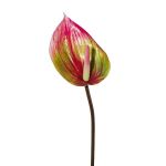 Konstgjord blomma, flamingoblomma GRUNT, grön-rosa, 75cm