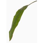Konstgjorda blad av keulenlilja ELARA, gröna, 90cm