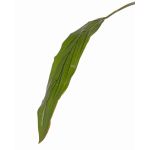 Konstgjorda blad av keulenlilja ELARA, gröna, 90cm