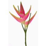 Konstgjord helikoni-blomma TOMKE, cerise-grön, 80cm, Ø18cm