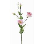 Konstgjord lisianthus JUDIKA, rosa-vit-grön, 70cm, Ø6-7cm