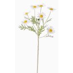 Konstgjord blomkvist Margerite LEONIA, vit, 60cm, Ø6cm