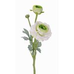 Konstgjord ranunkelgren YAKIRA, vit-grön, 40cm, Ø4,5-9cm