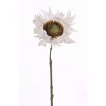 Konstgjord solros JANIKA, vit, 60cm, Ø13cm