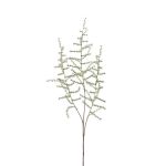 Konstgjord Asparagus acutifolius-gren JOCHEN, grön, 70cm