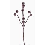 Konstgjord eukalyptusgren BASILIUS med frukter, brun, 60cm