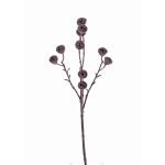 Konstgjord eukalyptusgren BASILIUS med frukter, brun, 60cm