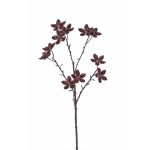 Konstgjord stjärnanis-gren DELANO med frukter, brun, 60cm