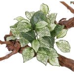 Konstgjord mosaikväxt MOLARA på stativ, grön-vit, 25cm