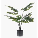 Dekorationsväxt Philodendron Monstera Deliciosa TREA, 60cm