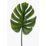 Konstblad Philodendron Monstera Deliciosa DRETA, 75cm