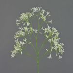 Konstgjord gren av stenbräcka BOUZA med blommor, krämfärgad, 65cm, Ø2cm