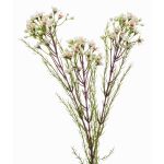 Konstgjord vaxblomstkvist MEDEA, krämfärgad, 80cm, Ø6cm