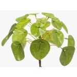 Konstgjord suckulent Pilea peperomioides SYBIL på pinne, grön, 13cm
