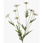 Konstgjord prästkrage LASAI, vit-grön, 80cm, Ø4-5cm
