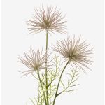 Konstblomma krysantemum HARARE, violett, 65cm, Ø9-12cm
