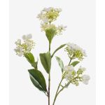 Konstgjord hortensia ALAZNE, krämfärgad, 75cm, Ø7-10cm