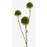 Konstgjord blomma, edeldistel BRANCO, grön, 60cm, Ø5-6cm
