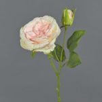 Plastros CESCA, rosa-gul, 40cm, Ø9cm