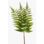 Dekorativt blad, svärdormbunke HALIMA, grönt, 60cm