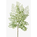Dekorativt blad, kvinnosvansfarn HALIMA, grönt, 60cm