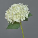 Konstgjord hortensia EGIA, krämfärgad, 50cm, Ø16cm
