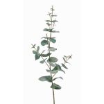 Konstgjord eukalyptusgren CALLIOPE, grågrön, 70cm