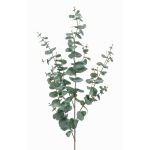 Konstgjord eukalyptuskvist CALLIOPE, grågrön, 115cm
