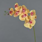 Konstgjord Phalaenopsis-orkidégren NEITH, orange-cerise, 75cm, Ø7-10,5cm