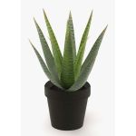 Konstgjord suckulent Aloe Variegata MARTINEZ, grön, 25cm, Ø17cm