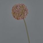 Konstgjord allium BOUTROS, lila-grön, 75cm, Ø9cm