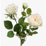 Konstblomma rosgren CALISTA, krämfärgad, 60cm, Ø9cm