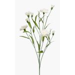 Konstblomma nejlika KANO, krämfärgad, 70cm, Ø2-6cm
