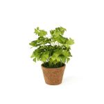 Konstväxt klöver NICCOLO i dekorativ kruka, grön, 25cm