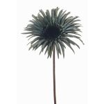 Konstgjord gerbera SIEDA, blågrön, 65cm, Ø12cm