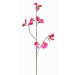 Konstgjord blomkvist Lathyrus ASFALOTH, cerise, 65cm, Ø3-5cm