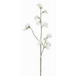 Konstgjord blomkvist Lathyrus ASFALOTH, vit, 65cm, Ø3-5cm