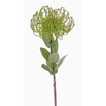 Konstgjord nålkudde Protea BAILY, grön, 55cm, Ø10cm