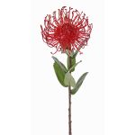 Konstgjord nålkudde Protea BAILY, röd, 55cm, Ø10cm