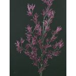 Konstgjord lärkgren FLEKY, glitter, lila, 75cm