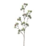 Dekorativ gren av ceder SNALTI med kottar, frostad, vit-grön, 65cm