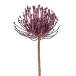 Konstblomma nålkudde Protea ZIRMO, lila, 50cm