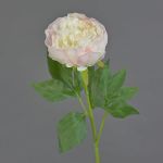 Konstblomma, pion SEDFY, kräm-ljusrosa, krämfärgad-blekrosa, 60cm, Ø10cm