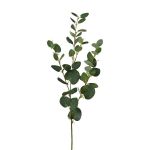 Dekorativ gren med eukalyptus JINVAL, grön, 80cm