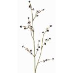 Konstgjord kvist av Stirlingia latifolia COLLAN, svart-vit, 75cm, Ø1cm
