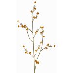 Konstgjord kvist av Stirlingia latifolia COLLAN, orange-grön, 75cm, Ø1cm