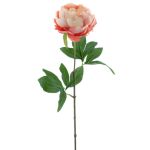 Konstpion TALFY, rosa-persik, 65cm, Ø10cm