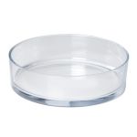 Fruktskål VERA OCEAN i glas, transparent, 8cm, Ø29cm