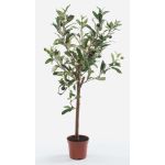 Konstgjord olivträd ALBERTO, äkta stam, med frukter, 65cm